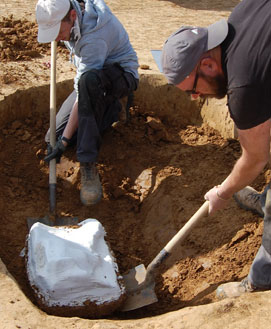 Prélèvement en motte d'une patère en métal