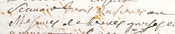 Texte manuscrit sur lequel on lit "rasières"