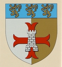 Blason d'Audinghen.