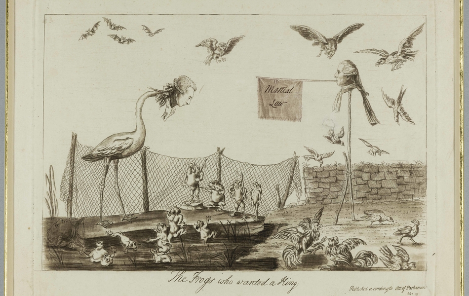 A gauche, une grue avec la tête de La Fayette se penche sur les grenouilles à ses pieds qui la regarde. A droite, sur un piquet, la tête du maire de Paris Bailly tient avec sa bouche un drapeau sur lequel figure l'inscription "martial law" dirigé vers la grue La Fayette. Au pied du piquet deux coqs se battent. Au-dessus de la scène, dans le ciel, 4 chauves-souris à droite, un hibou au centre, et deux rapaces à droite, observent la scène. 