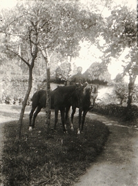 Photographie noir et blanc montrant un soldat montant un cheval et tenant la bride d'un second à ses côtés dans un décor champêtre.