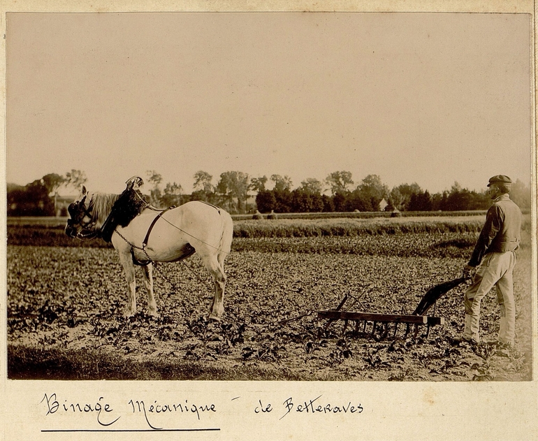 Photographie noir et blanc montrant un cheval tirant un appareil agricole devant un homme dans un champ.