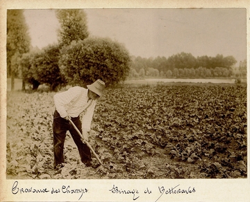 Photographie noir et blanc montrant un homme de profil en train de biner un champ.
