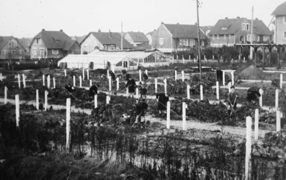 Photographie noir et blanc montrant des jardins autour de maisons.