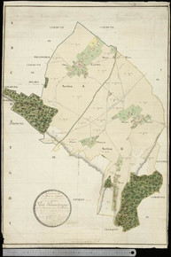 Carte couleur figurant des parcelles de terres entourées de bois.