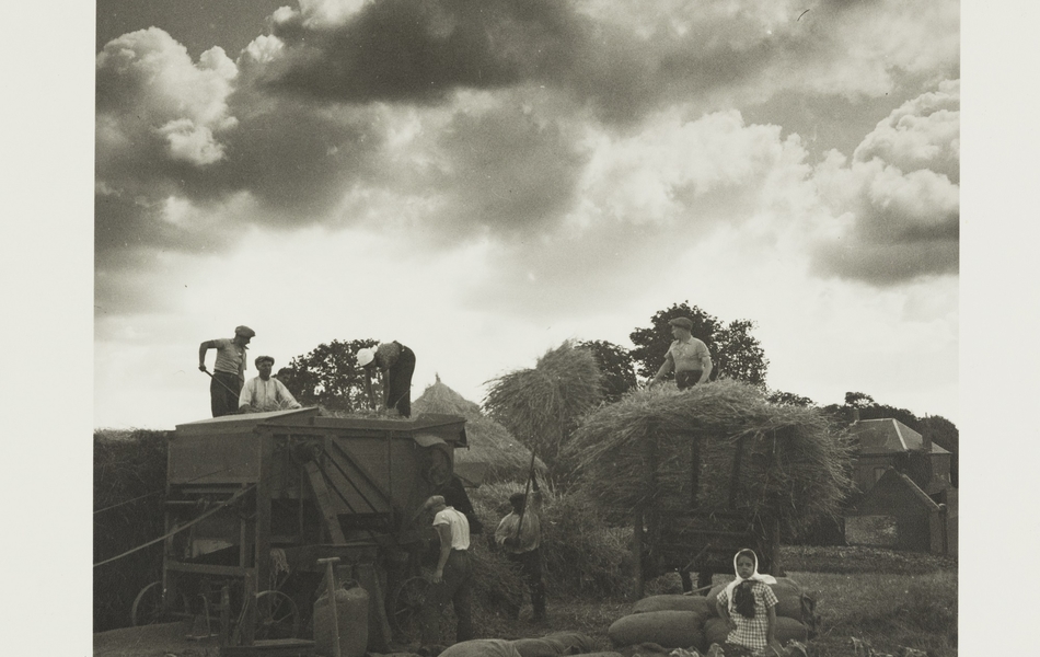 Photographie noir et blanc montrant des adultes et des enfants en train de charger du foin sur un camion.