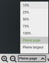 Icônes et options de zoom du visualiseur des archives numérisées